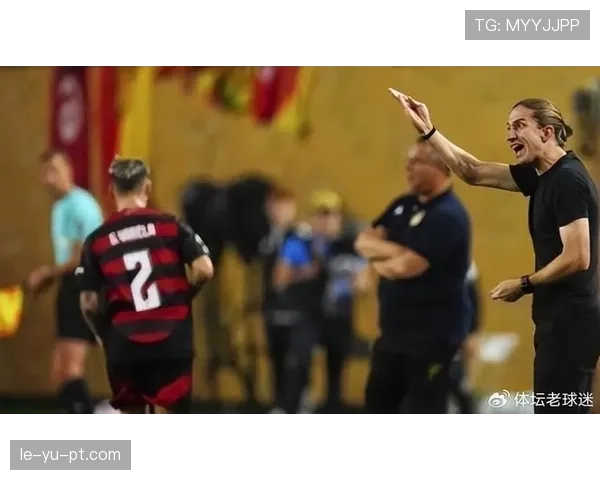 南美足球赛季盛宴即将开启，诸强蓄势待发争锋绿茵