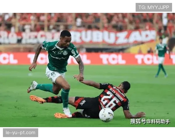 马里足球联赛新赛季揭幕：新锐球员闪耀赛场，球队阵容焕然一新