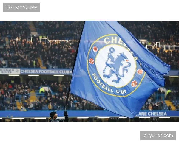 切尔西球迷抗议俱乐部运营现状