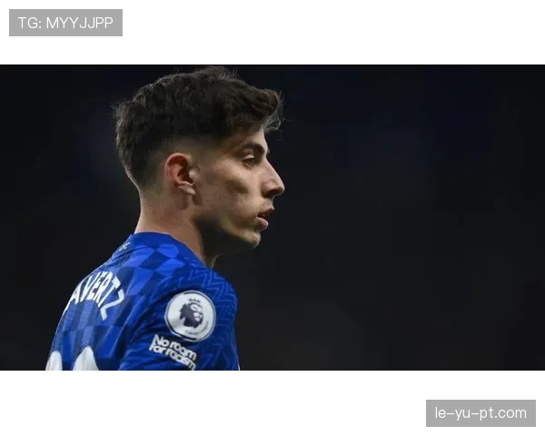 哈弗茨比赛阅读