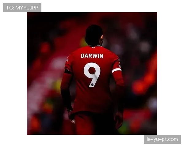 努涅斯：从乌拉圭草根到利物浦9号的生涯逆袭解析